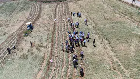 Taşköprü’de beyaz altın hasadı başladı
