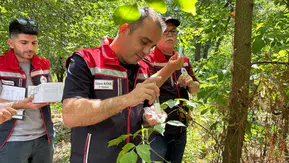 Edirne tarlalarını korumak için 728 samuray arıcığı göreve başladı
