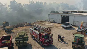 Balıkesir'de üç noktada aynı anda orman yangını paniği