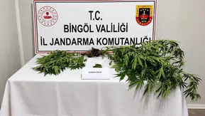 Bingöl’de jandarma operasyonlarında 6 firari hükümlü yakalandı