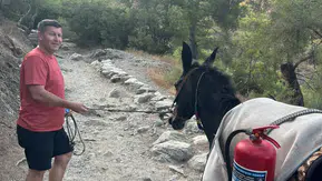 Antalya orman yangınında eşekli lojistik desteği