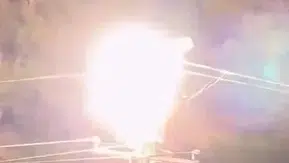 Mersin'de leyleklerin acı dolu anları kameraya yansıdı