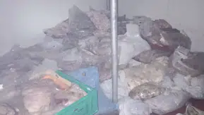 Bodrum'da bir depodan kötü koku yayıldı, 400 kilo bozuk et çıktı
