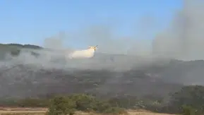 Balıkesir Manyas’ta orman yangını söndürüldü
