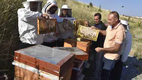 Bitlis balı bilimle dünyaya açılıyor
