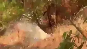 Kaş sularına atık karıştıran belediyeye ağır para cezası