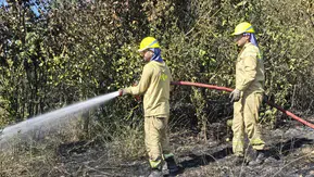 Mudanya'da korkutan yangın büyümeden söndürüldü