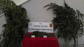 Jandarma kamu arazisindeki keneviri sularken yakaladı