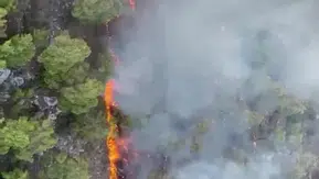 Kemer Çıralı’da orman yangını paniği