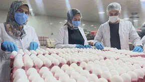 Mutfakların temel gıdasında sürpriz gelişme: Fiyatlar sabit kalacak