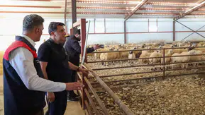 Tunceli'de hayvancılıkta yeni dönem: Devlet desteğiyle modern tesisler yükseliyor