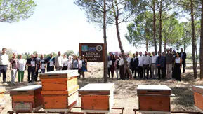 Kocaeli'de Arıcılıkta Uzmanlık Dönemi: 20 Üretici Sertifikasını Aldı