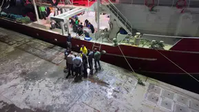 Denizlerde beklenen gün geldi: İstanbul'da ağlar dolusu bereketle sezon açıldı