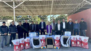 Bilecik'te çilek bereketi: Üreticinin yüzünü güldüren dev destek