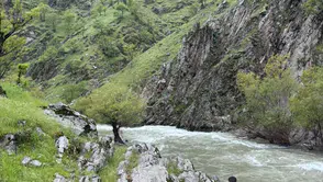 Muş’ta köprüden suya düşen kadın ikinci günde de bulunamadı