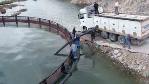 Türk somunu sezonu Adıyaman Çat Barajı’nda start aldı