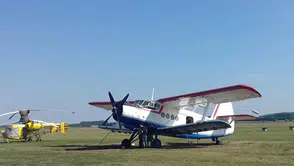 Kazakistan'da hafif uçak düştü Bir pilot hayatını kaybetti