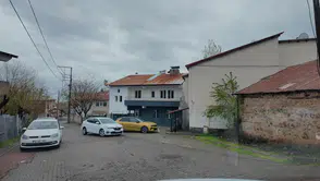 Bingöllü gönüllüler kiraladıkları evde sokak kedilerine yuva kurdu