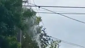 Aksaray'da elektrik direğinde can pazarı