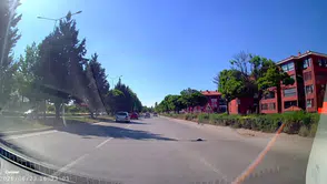 Trafiğin ortasında kalan kaplumbağayı kurtardı