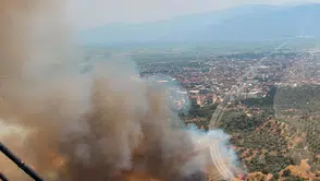 Nazilli zeytinliklerinde öğleden sonra başlayan yangın paniği