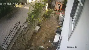 Darıca'da kurnaz karga tavuk kümesini soydu