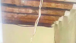 Hakkari’de toprak evde yılan korkusu