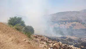 Mardin Yeşilli’de orman yangını paniği