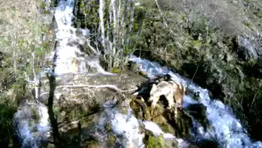 Munzur Vadisi yaban hayatı fotokapanlara böyle yansıdı
