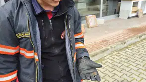Çankırı'da bulunan yavru yarasa veteriner kontrolüne alındı