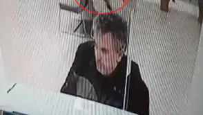 Banka şubesinde işlem yaparken tavandan kedi indi