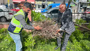 Ardahan’da belediye ekiplerinden kargalara ince düşünülmüş taşınma operasyonu