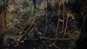 Tekirdağ Muratlı’da elektrik direğinden sıçrayan kıvılcımlar otları tutuşturdu