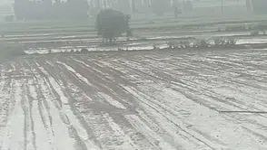Kayseri'de dolu felaketi Binlerce dönüm tarım arazisi küle döndü