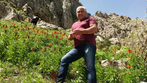 Tunceli'de mantar toplamaya giden orman görevlisi dağda hayatını kaybetti