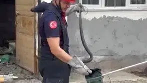 Osmaniye’de bahçeye giren davetsiz misafiri itfaiye ekipleri uzaklaştırdı