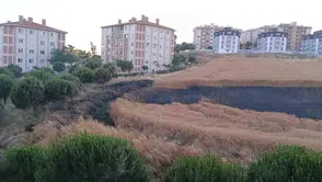 Bandırma’da buğday tarlası alevlere teslim oldu