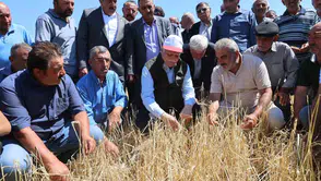 Nevşehir’de sel ve dolu tarlaları vurdu