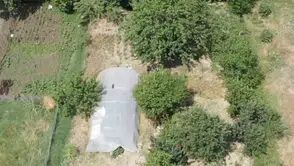 Sakarya'da sera görünümlü uyuşturucu tarlasına dronlu baskın