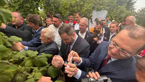 Trabzon'da fındık bahçelerini kurtaracak doğal ordu sahaya indi