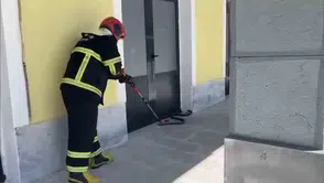 Bitlis'teki TCDD binasında beklenmedik misafir paniği