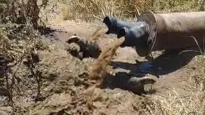 Bismil tarlasında sulama borusundan porsuklar çıktı