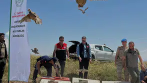 Adıyaman dağlarında keklik mesaisi