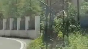 Trabzon'un dağ keçisi yolu şaşırdı