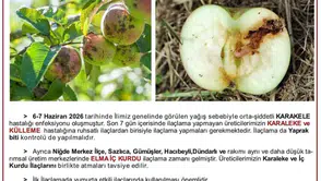 Niğde elma bahçelerinde hastalık alarmı verildi