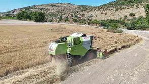 Balıkesir'de yerli buğday Altındane için ilk hasat yapıldı