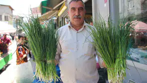 Van dağlarında şifalı ot hasadı bu yıl daha uzun sürüyor