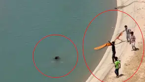 Batman'da sulama kanalında ölümden döndüler