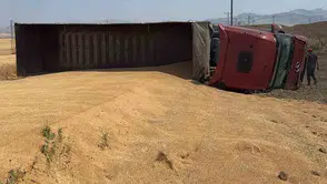 Kozluk yolunda buğday taşıyan araç devrildi