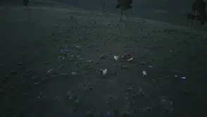 Sarıkamış arazisinde boz ayı ile köpeklerin kıran kırana takibi